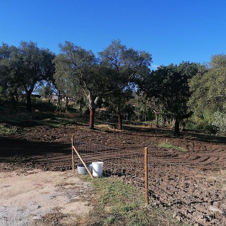 Casas De Marvao - Quinta Da Bela Vista Villa Bagian luar foto