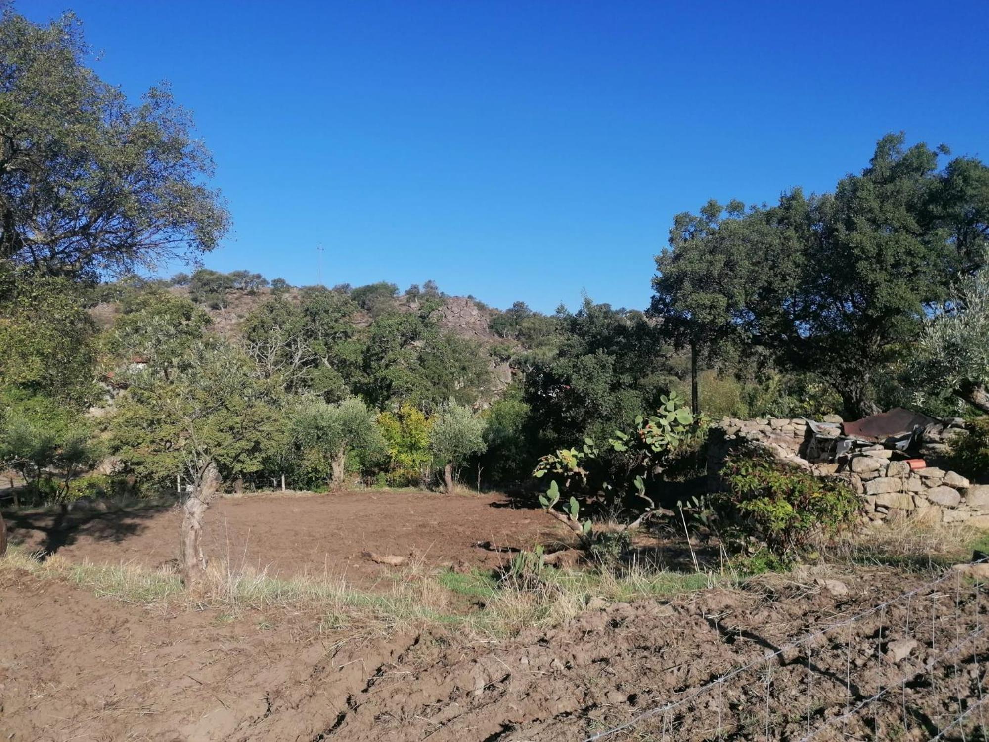 Casas De Marvao - Quinta Da Bela Vista Villa Bagian luar foto